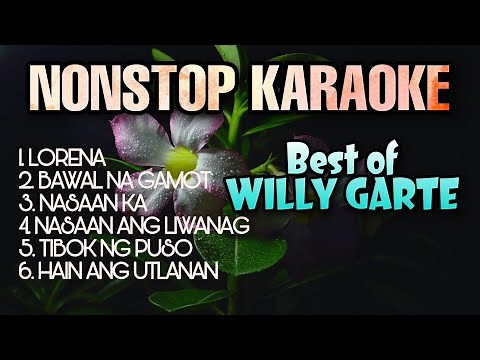 BEST OF WILLY GARTE | Nonstop Karaoke