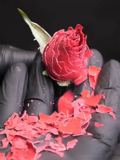 Oxygen is Magnetic #experiment #science