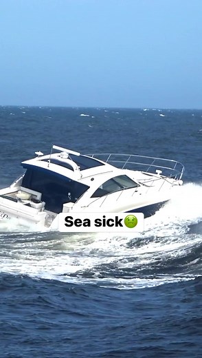 159K views · 1.2K reactions | Talk about getting sea sick! #boats #searayboats #searay #seasick #boatlife | Shore Boats | Facebook
