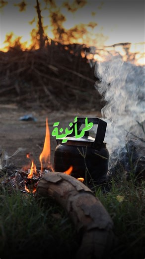 ‎B reef - بريف‎ on Instagram‎: "أشكو إليك أموراً أنت تعلمها 🌿💚 #بريف - #فيديو | #ريلز | #ابتهالات"‎