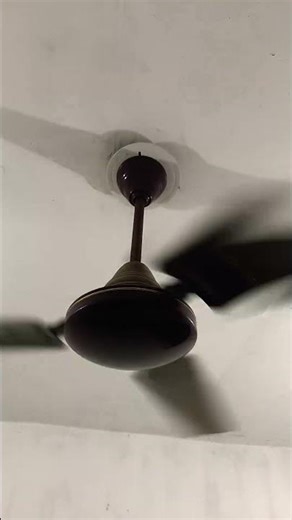 Gllosthy Ceiling Fan #shorts​​​​​​​​​ #fan​​​​​​​​​ #shortvideo​​​​​​​​​ #fansound​​​​​​​​​ #viralvi