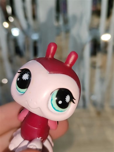 ¿Es verdadero o falso? Análisis del LPS