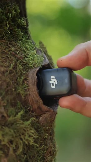 DJI on Instagram: "Unlock a magical POV 🐿️❄️ Step inside a tree hollow and experience a tiny animal's cozy hideout. Who wouldn’t want to visit a woodland home like this? 👇 🎥 julianradwildlife #dji #DJIOsmoNano #OsmoNano #pocketcamera #vloggingcamera #povcamera #runningcamera #tinyworld"