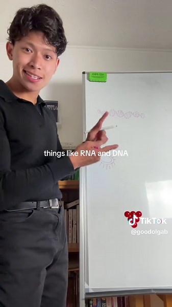 Exploring Whole Genome Sequencing in Microbiology