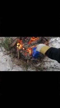 Put the 56' to work on a -20• day in northern Ontario. Old Iron still works. #1956FordF100 #oldiron