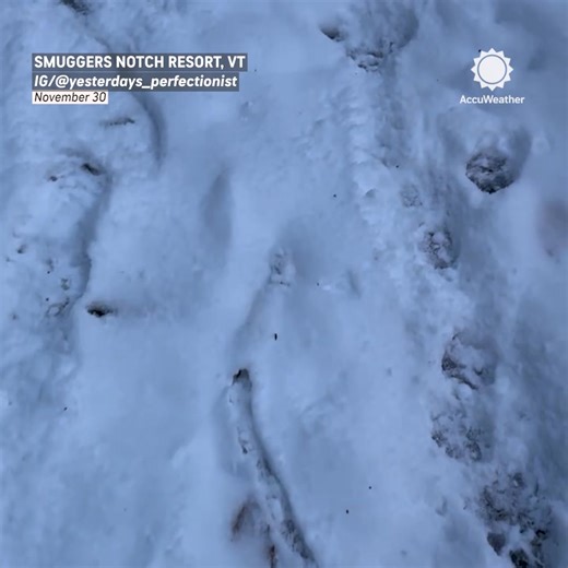 50K views · 714 reactions | A tiny snow athlete in the making! This little mouse is sprinting and diving through the snow like it’s training for the Winter Olympics. ❄️ | AccuWeather | Facebook