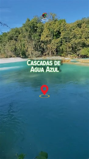 Caminar entre sus senderos, refrescarte con la brisa y simplemente detenerte a mirar… es un plan que se disfruta de principio a fin. 📌Cascadas de Agua Azul, Chiapas. Si ya te imaginaste aquí, es momento de hacerlo realidad 😉 📲 Reserva tu lugar con Jalapeño Tours | Jalapeño Tours