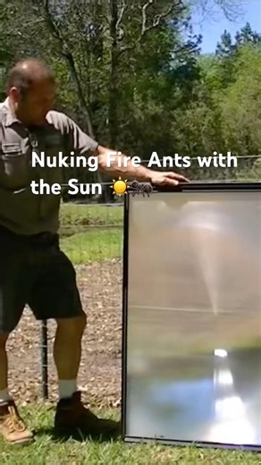 Exterminating Fire Ants With a Giant Magnifying Glass ☀️🐜