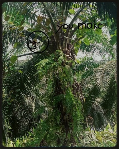 only tress can help me