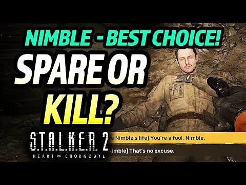 Stalker 2: Spare Nimble's Life or Kill Nimble? - Best Choice (In Search of a Guide)