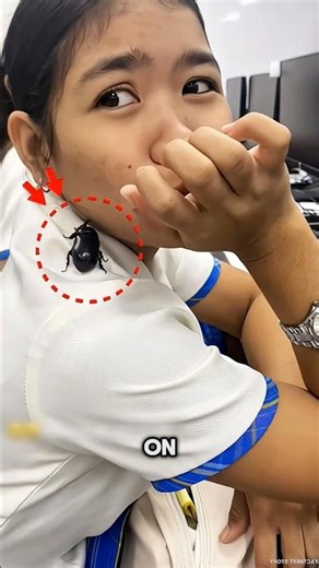 How Did a Dangerous Beetle Get on Her Shirt