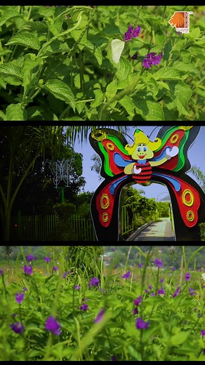 4.6K views · 80 reactions | The Butterfly Garden near the Statue of...