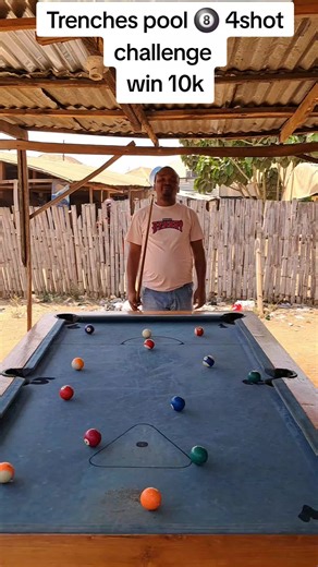 4-Shot Challenge: Professional Pool Player's Skills