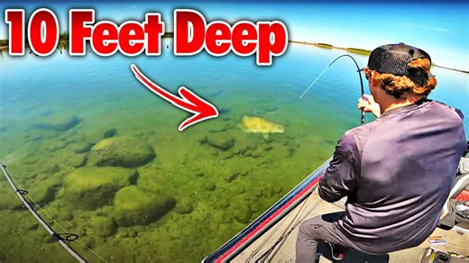 Cleaner water often means bigger fish and this trip proved it