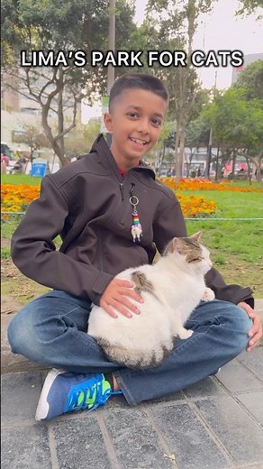 LIMA’S BEST FREE ACTIVITY! KENNEDY PARK IN MIRAFLORES IS FULL OF CATS #travel #lima #cats