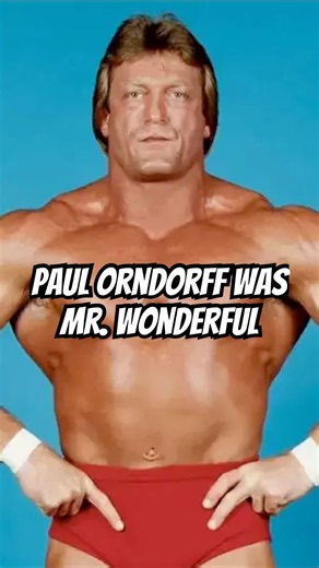 Paul Orndorff Was Mr. Wonderful #wwe #wcw #prowrestling
