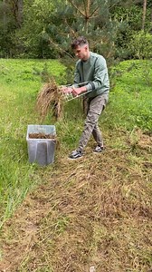 Make your lawn greener than your neighbor's! | Gorgeous