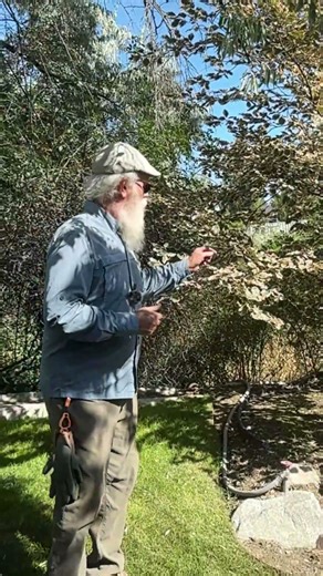 Are YOU Going to PUT UP with THIS? #arborist #tree #education #landscape #garden #design