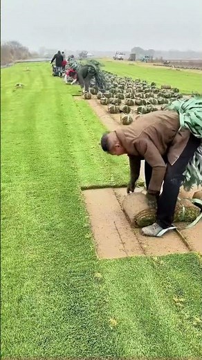 Artificial Turf Laying Tips: How to Properly Compact and Align Turf Rolls?