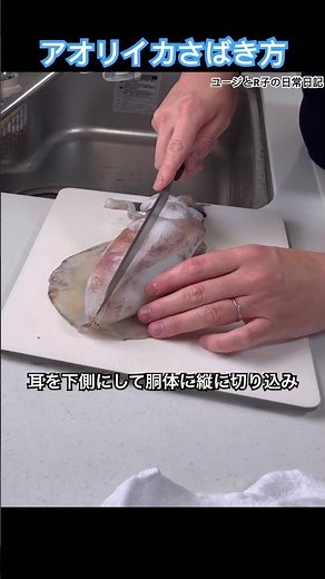 【超簡単】アオリイカのさばき方#いか #さばき方#釣り