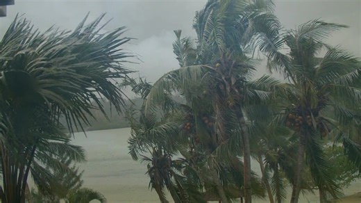 2.5K views · 74 reactions | Documentary ia hemi lukluk klosap lo VPF...