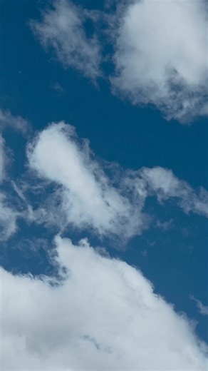 20 reactions · 10 comments | #rachellevlogsfanschallenge @highlight | Mark Ng New Zealand | Facebook