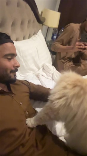 1%> (@deep_silence_nmp)’s videos with original sound - 𝐔𝐒𝐌𝐀𝐍𝐗𝐞𝐬𝐭𝐢𝐜𝐬🖇️