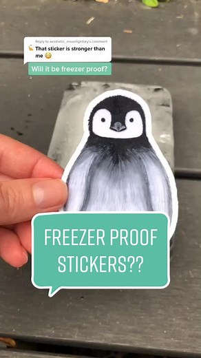 Testing Waterproof Penguin Iceberg Stickers