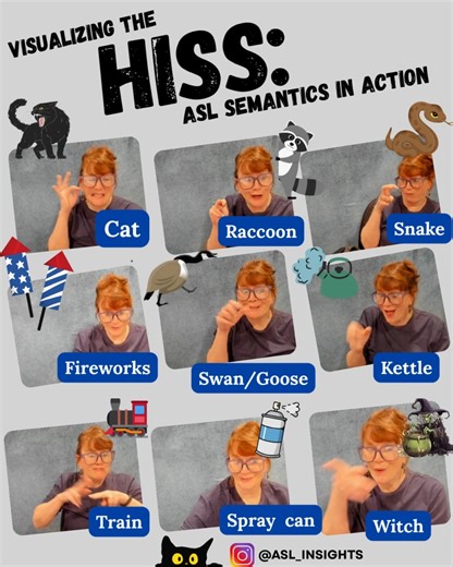 Trix Bruce | Next up: ASL Semantics—where one word can carry multiple meanings. Take the word “hiss” for example. We always fingerspell #Hiss, then... | Instagram
