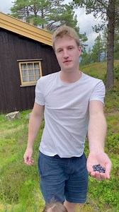 蓝莓视频在线观看网页版 - 抖音搜索