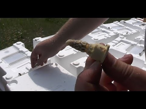 Bienen Begattungskästen / Begattungseinheit befüllen erstellen