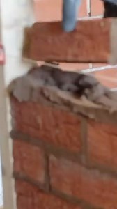 The best bricklaying tutor in the world shows just why. | Stu Crompton