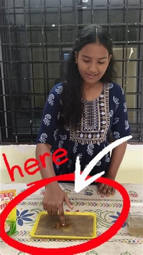 Object Lesson// pepper powder,soap liquid , water // PVAG Ministry