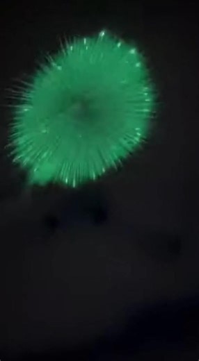 Launching into Mystery: Green Burst or Alien Technology?