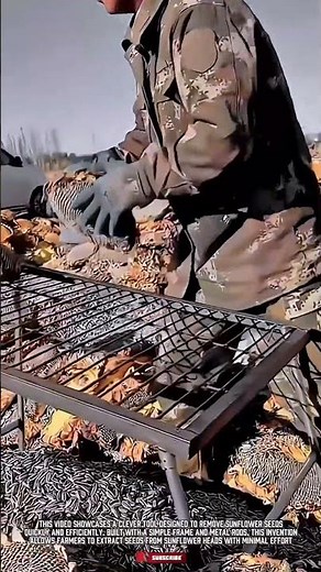 Sunflower Seed Remover Tool – Simple but Brilliant Farm Hack!