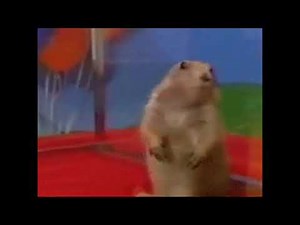 The Overly Dramatic Epic Gopher