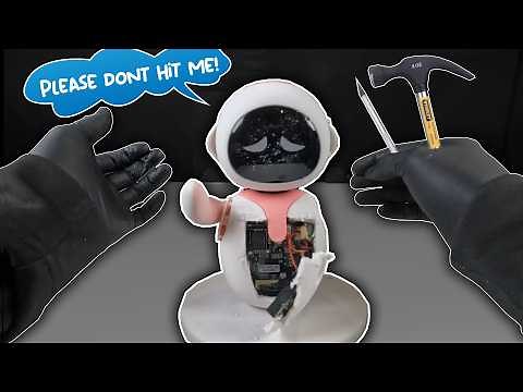 190$ Smart Robot Extreme Durability Test - Eilik Robot