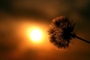 2 Things Happen When Allah Loves You | About Islam