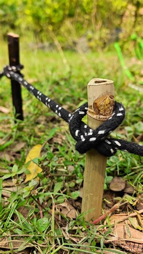 Simple Knot Trick but 99% Fail ✅💡 #shorts #lifehacks #viral