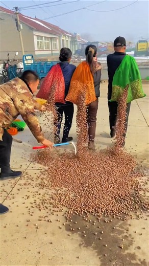307M pistachio premium style unboxing very delicious 🤤#pistachio