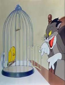 1.6M views · 10K reactions | Tom and jerry _ Classic Cartoon | Car modifiers | Facebook