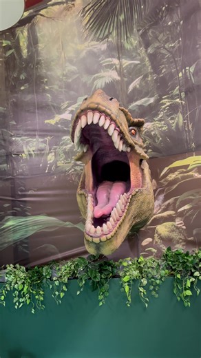 ❤️ @UNIVERSUM - Theme Park TikTok