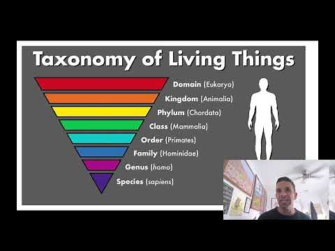 Plant Identification & Evolution Part 2 : Phylogenetics, Cladograms, Synapomorphies