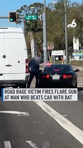 233K views · 293 reactions | Striking road rage incident caught on...