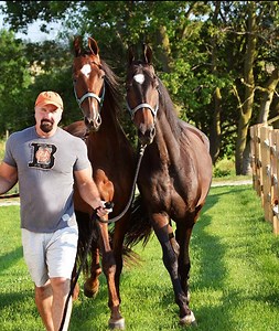 About Us – Chapel View Farm & Stable