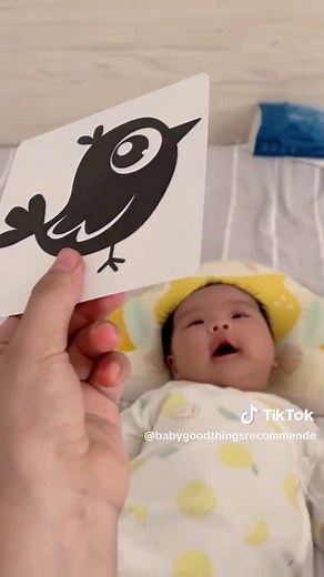 Baby Black and White Visual Stimulation Cards