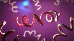 Interactive: Explore STI rates in your region