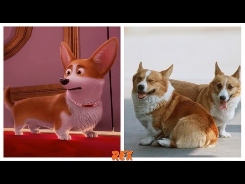 The Queen's Corgi Characters in Real Life