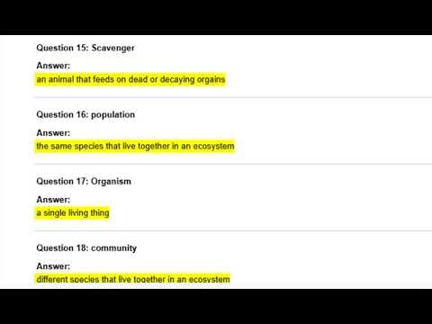 FREE Ecology Quiz Games 2026 🎮 Ace Science Test & Ecosystem Exam Fast! 🌿✅