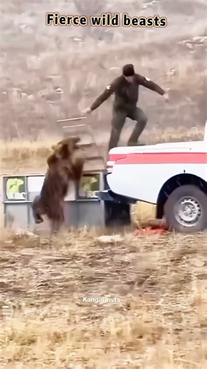 What do you think of it? It's fascinating.🤯 #animals #animalsoftiktok #scary #nature #fyp